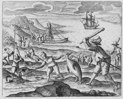 Penguin Hunting, 1598 by Dutch School